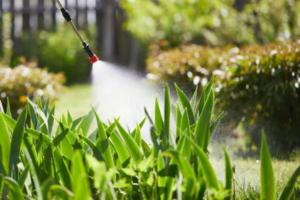 Tamper-Resistant Bait Stations for Rodents in McKee City