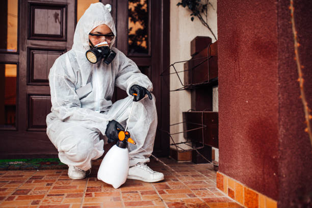 Attic and Crawl Space Rodent Treatment in McKee City