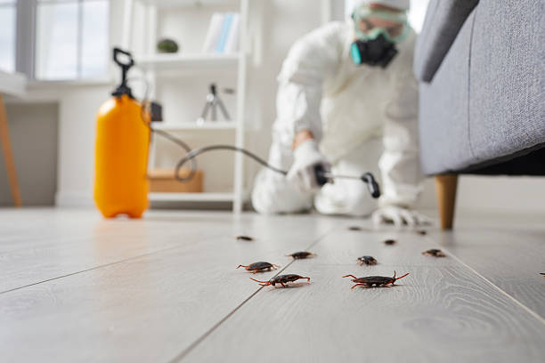 Commercial Rodent Management in McKee City